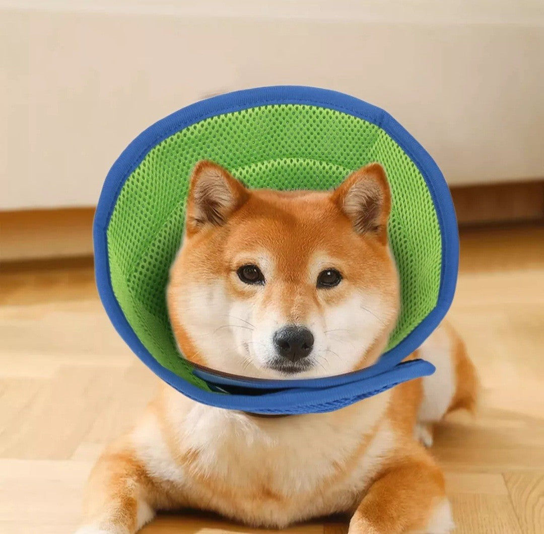 Pet Recovery Lightweight Cone Collar Soft Anti Lick Wound SMALL SIZE Dog/ Cat