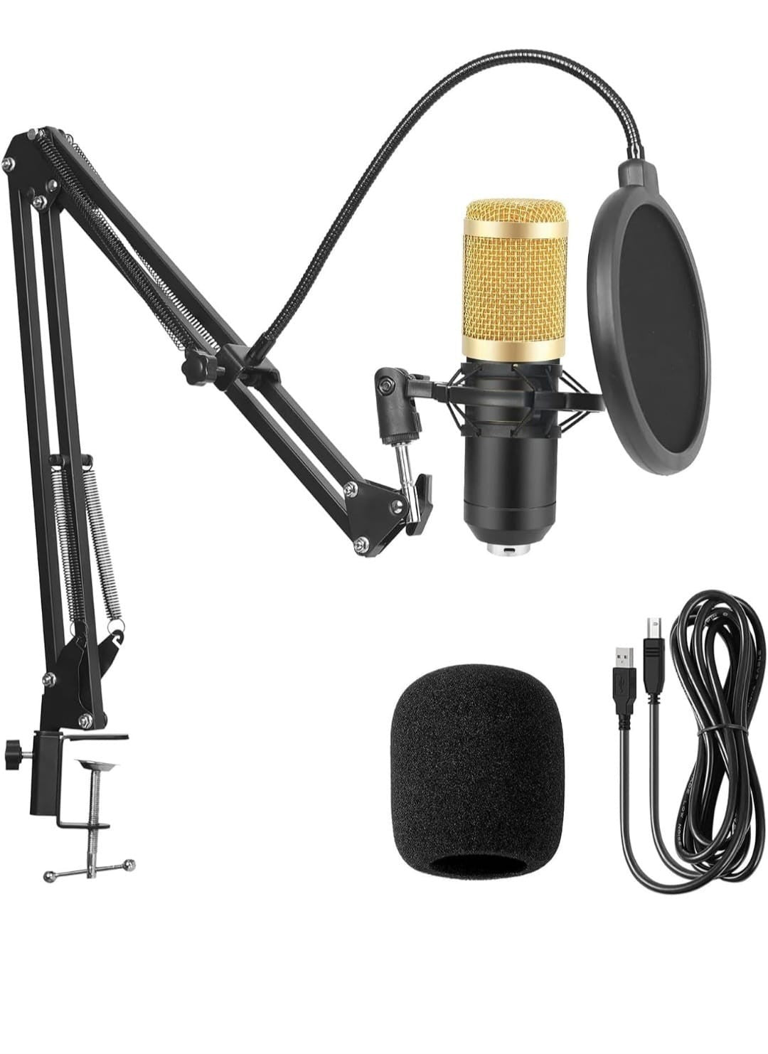 LEGENDARY VOCAL Professional Condenser Microphone for Studio Recording (Gold)