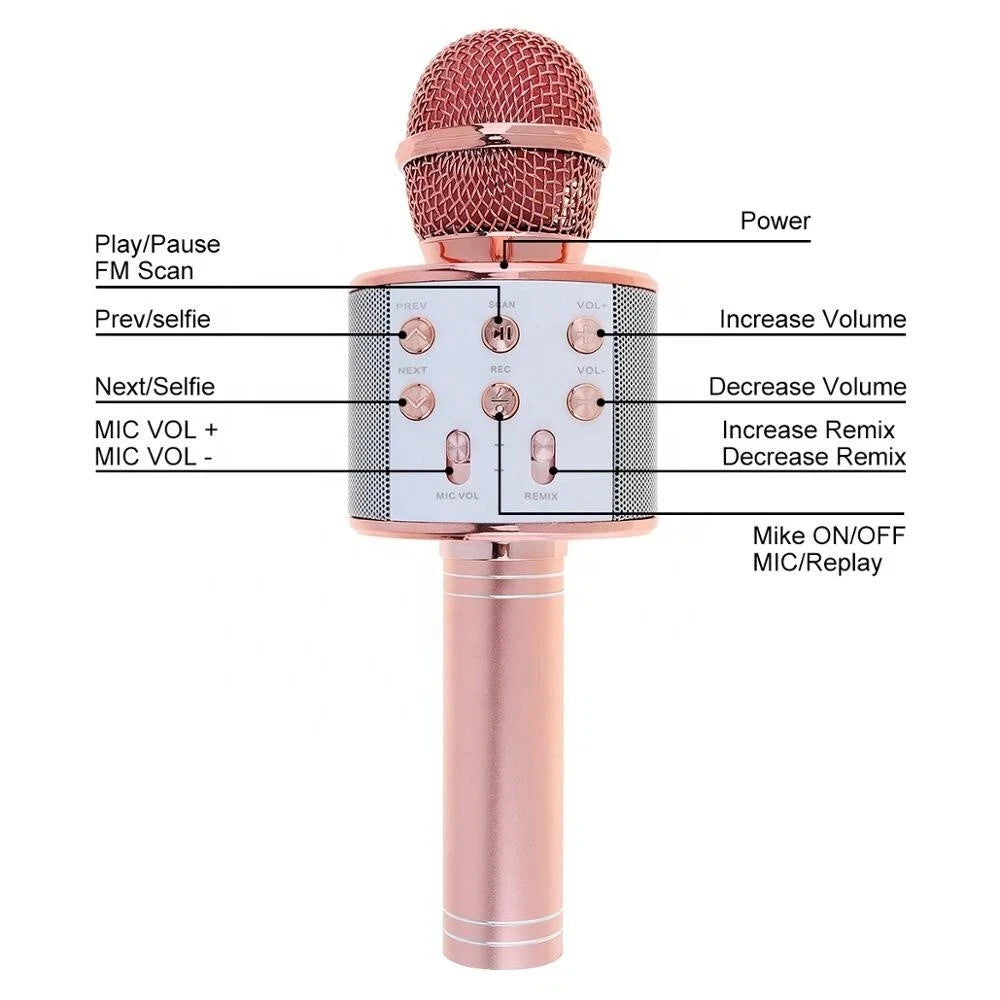 Girls & Boys Toys Age 3-12, Gifts for 3-10 Year Old Microphone Bluetooth Speaker