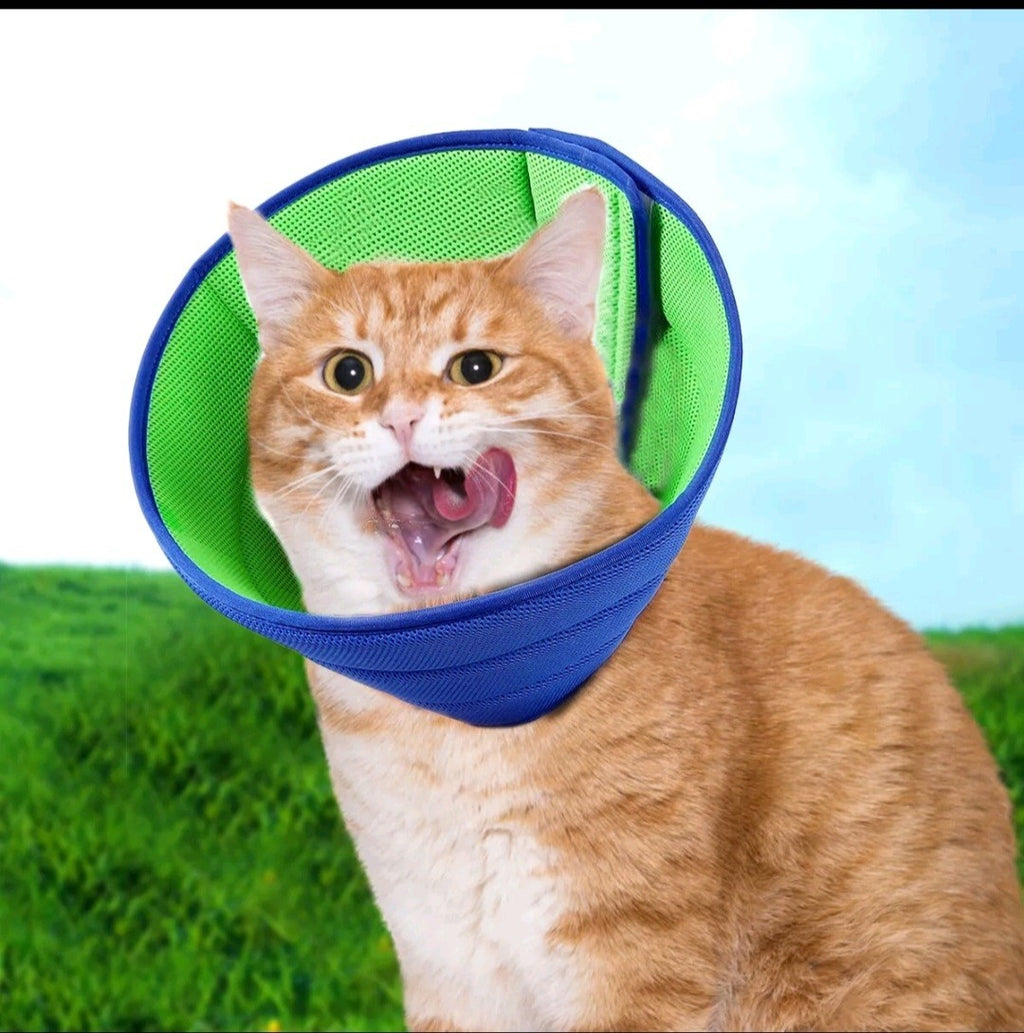 Pet Recovery Lightweight Cone Collar Soft Anti Lick Wound SMALL SIZE Dog/ Cat