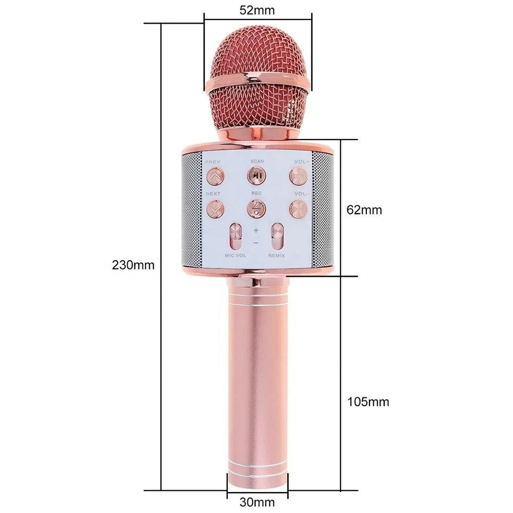 Girls & Boys Toys Age 3-12, Gifts for 3-10 Year Old Microphone Bluetooth Speaker