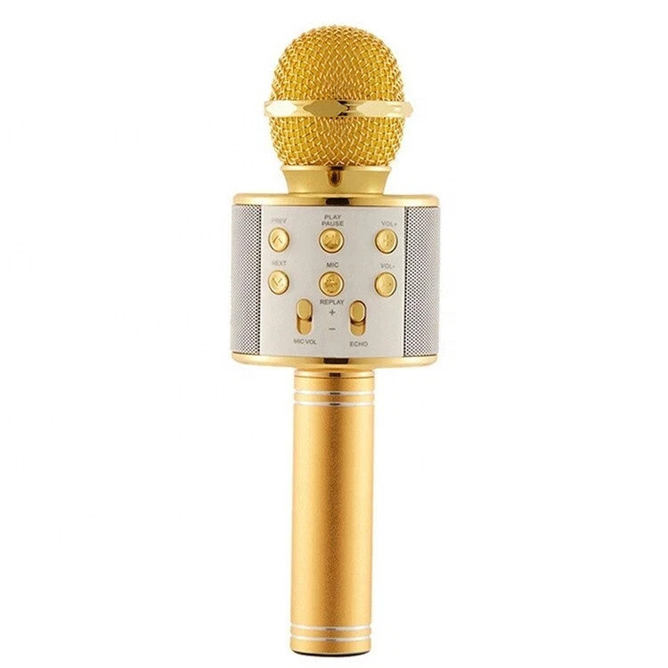 Girls & Boys Toys Age 3-12, Gifts for 3-10 Year Old Microphone Bluetooth Speaker