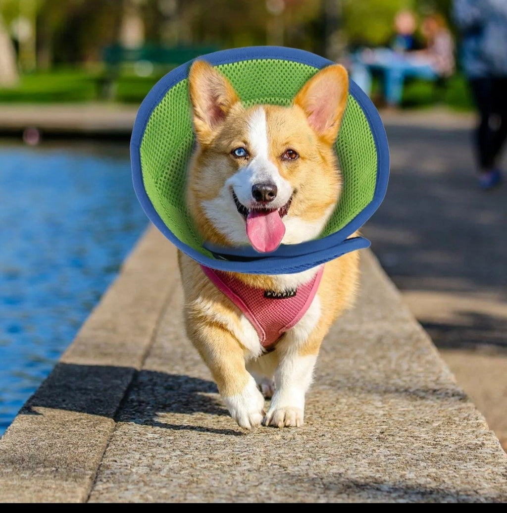 Pet Recovery Lightweight Cone Collar Soft Anti Lick Wound LARGE SIZE Dog/ Cat
